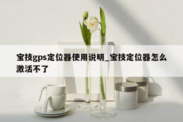 宝技gps定位器使用说明_宝技定位器怎么激活不了