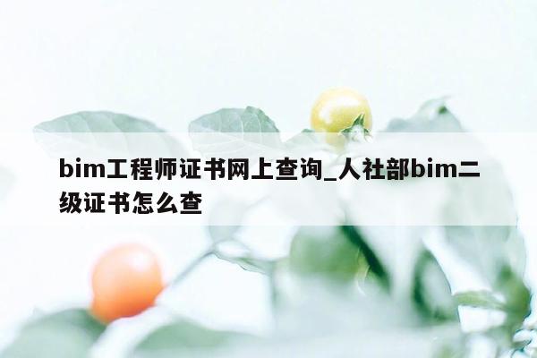 bim工程师证书网上查询_人社部bim二级证书怎么查