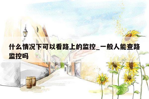 什么情况下可以看路上的监控_一般人能查路监控吗