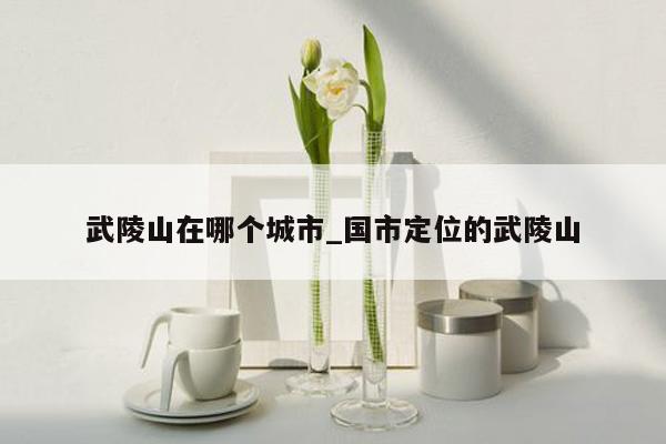 武陵山在哪个城市_国市定位的武陵山