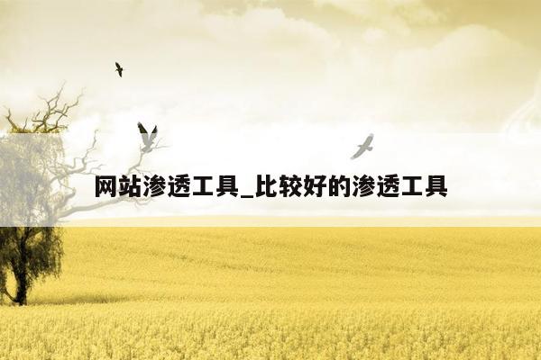 网站渗透工具_比较好的渗透工具