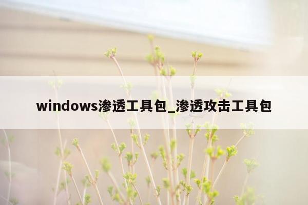 windows渗透工具包_渗透攻击工具包