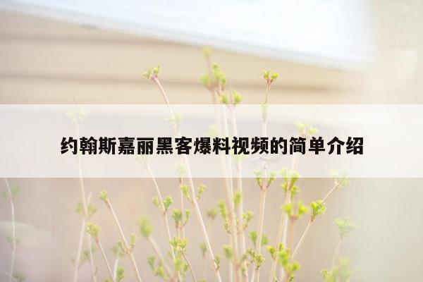 约翰斯嘉丽黑客爆料视频的简单介绍