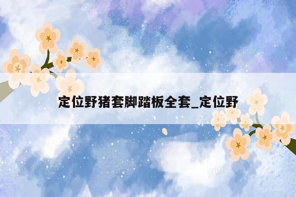 定位野猪套脚踏板全套_定位野