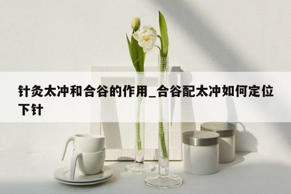 针灸太冲和合谷的作用_合谷配太冲如何定位下针