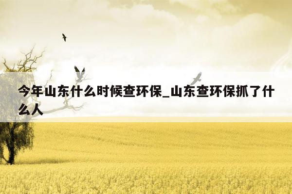 今年山东什么时候查环保_山东查环保抓了什么人