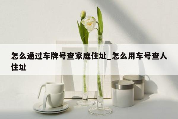 怎么通过车牌号查家庭住址_怎么用车号查人住址