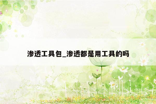 渗透工具包_渗透都是用工具的吗