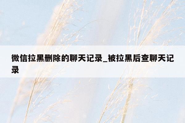 微信拉黑删除的聊天记录_被拉黑后查聊天记录