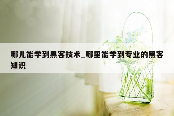 哪儿能学到黑客技术_哪里能学到专业的黑客知识