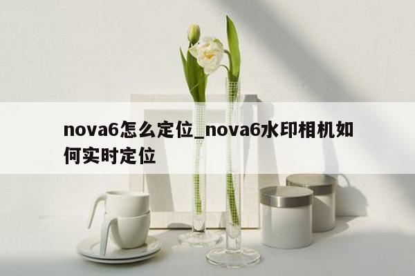 nova6怎么定位_nova6水印相机如何实时定位