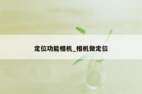 定位功能相机_相机做定位