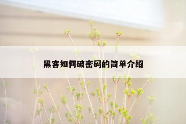 黑客如何破密码的简单介绍