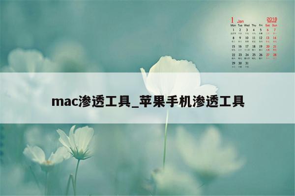 mac渗透工具_苹果手机渗透工具