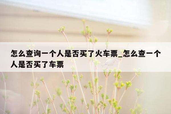 怎么查询一个人是否买了火车票_怎么查一个人是否买了车票