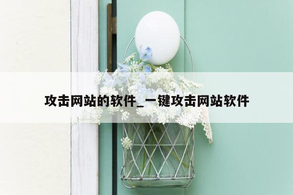 攻击网站的软件_一键攻击网站软件