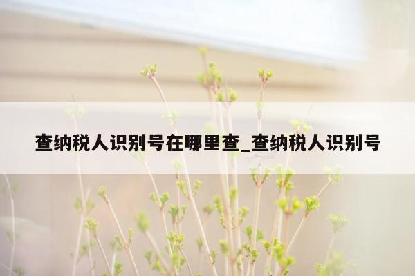 查纳税人识别号在哪里查_查纳税人识别号