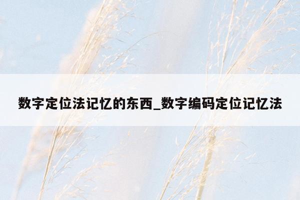 数字定位法记忆的东西_数字编码定位记忆法