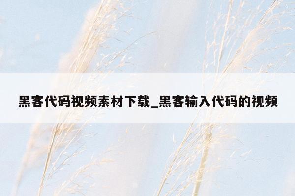黑客代码视频素材下载_黑客输入代码的视频