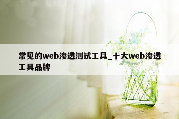 常见的web渗透测试工具_十大web渗透工具品牌