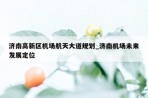 济南高新区机场航天大道规划_济南机场未来发展定位