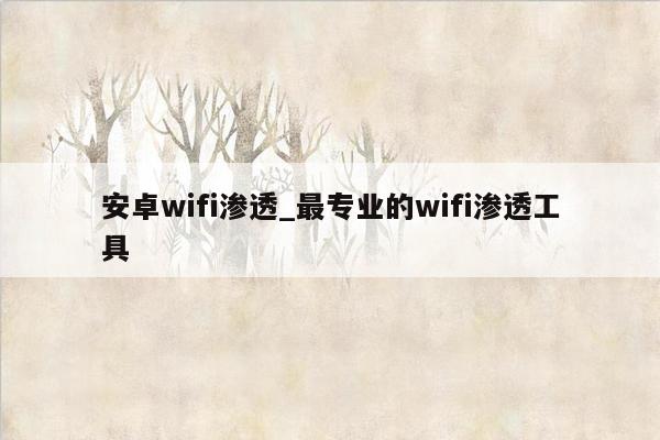 安卓wifi渗透_最专业的wifi渗透工具