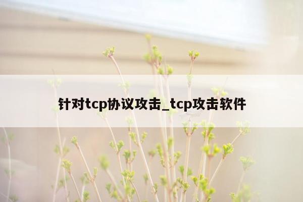 针对tcp协议攻击_tcp攻击软件