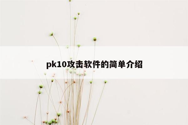 pk10攻击软件的简单介绍