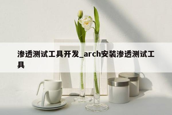 渗透测试工具开发_arch安装渗透测试工具
