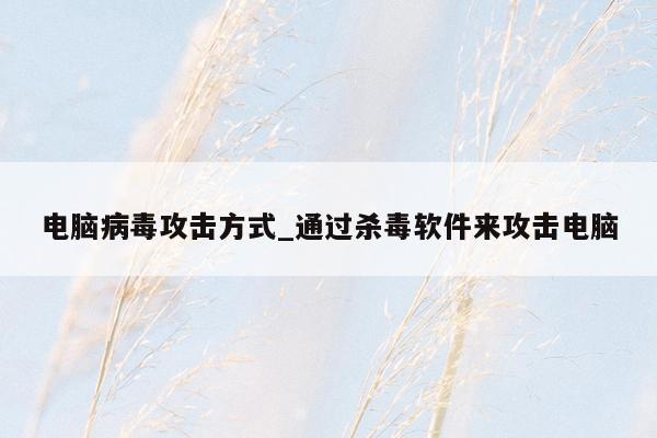 电脑病毒攻击方式_通过杀毒软件来攻击电脑