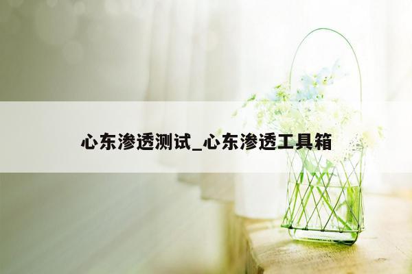 心东渗透测试_心东渗透工具箱