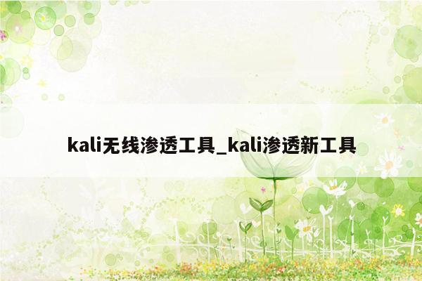 kali无线渗透工具_kali渗透新工具