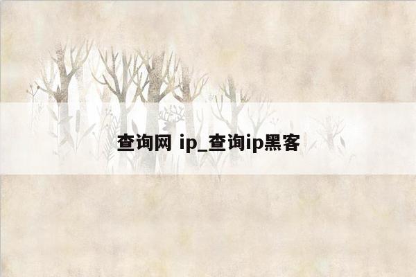 查询网 ip_查询ip黑客
