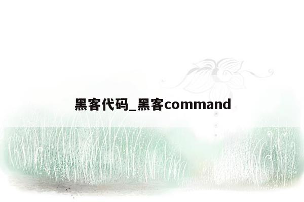 黑客代码_黑客command