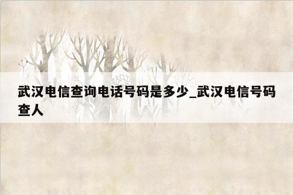 武汉电信查询电话号码是多少_武汉电信号码查人