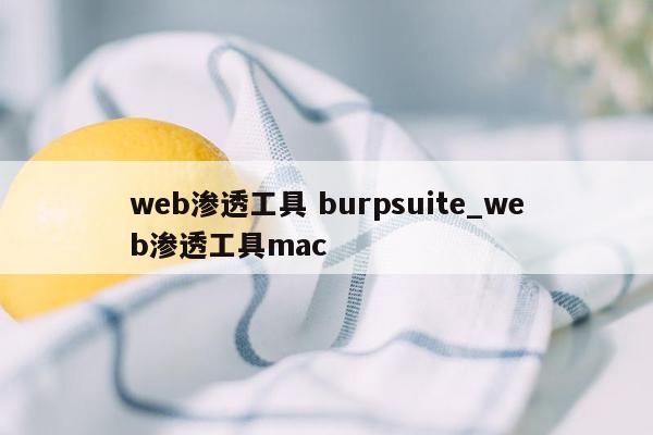 web渗透工具 burpsuite_web渗透工具mac