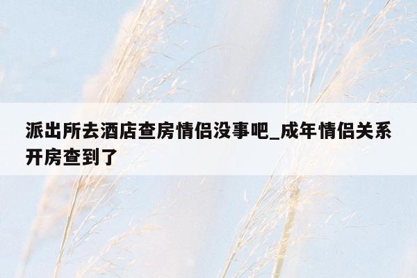 派出所去酒店查房情侣没事吧_成年情侣关系开房查到了