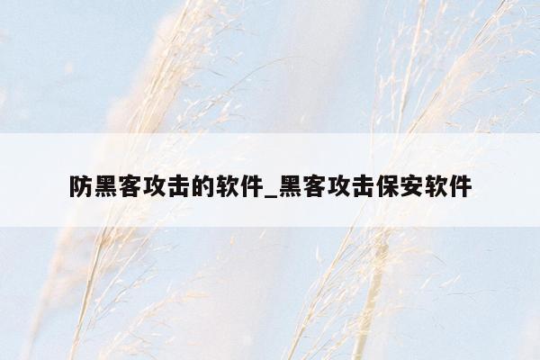 防黑客攻击的软件_黑客攻击保安软件