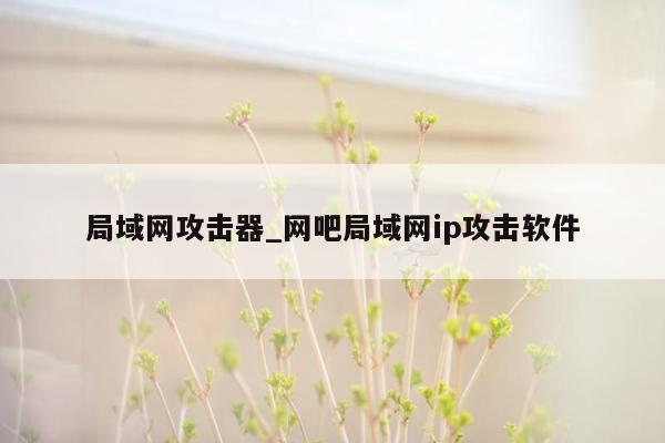 局域网攻击器_网吧局域网ip攻击软件