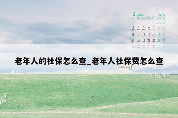 老年人的社保怎么查_老年人社保费怎么查
