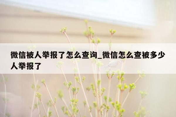 微信被人举报了怎么查询_微信怎么查被多少人举报了