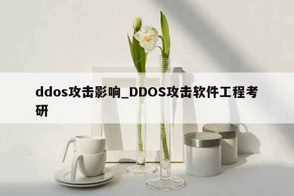ddos攻击影响_DDOS攻击软件工程考研