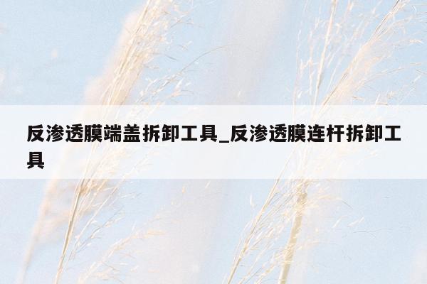 反渗透膜端盖拆卸工具_反渗透膜连杆拆卸工具