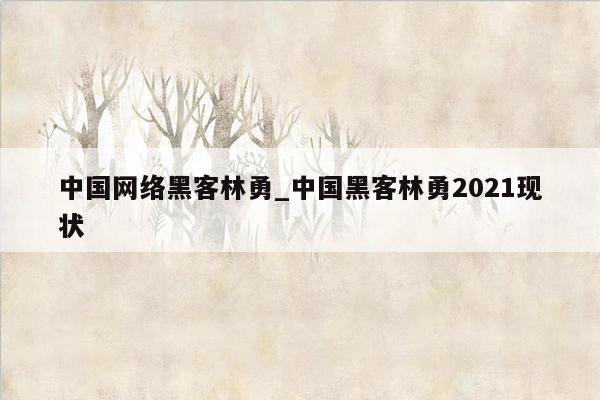 中国网络黑客林勇_中国黑客林勇2021现状