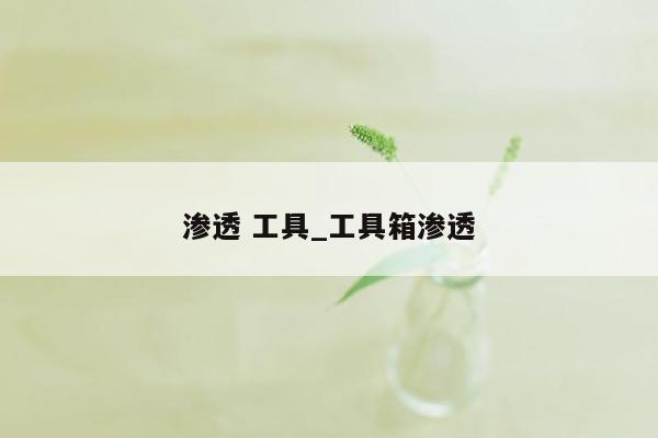 渗透 工具_工具箱渗透