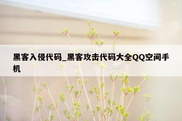 黑客入侵代码_黑客攻击代码大全QQ空间手机