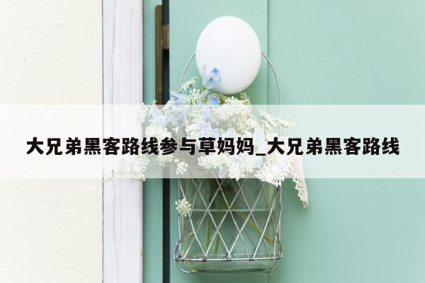 大兄弟黑客路线参与草妈妈_大兄弟黑客路线
