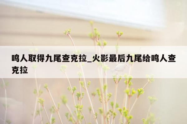鸣人取得九尾查克拉_火影最后九尾给鸣人查克拉