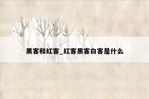 黑客和红客_红客黑客白客是什么