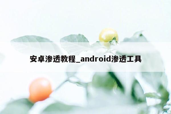 安卓渗透教程_android渗透工具